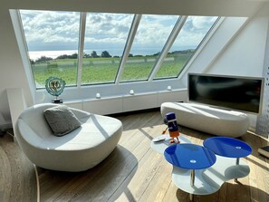 电视、DVD 播放器、桌上足球、音乐库