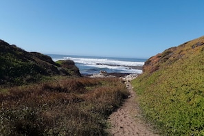 Playa en los alrededores y camastros 