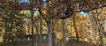 frontier lodge- Rustic lodge in a serene Timberland