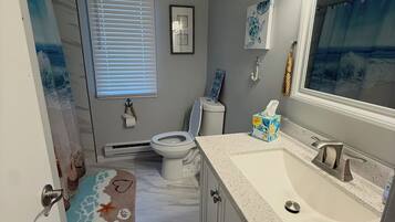 Un baño con inodoro, lavabo y zona de ducha.