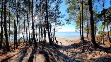 Vlak bij het strand, ligstoelen
