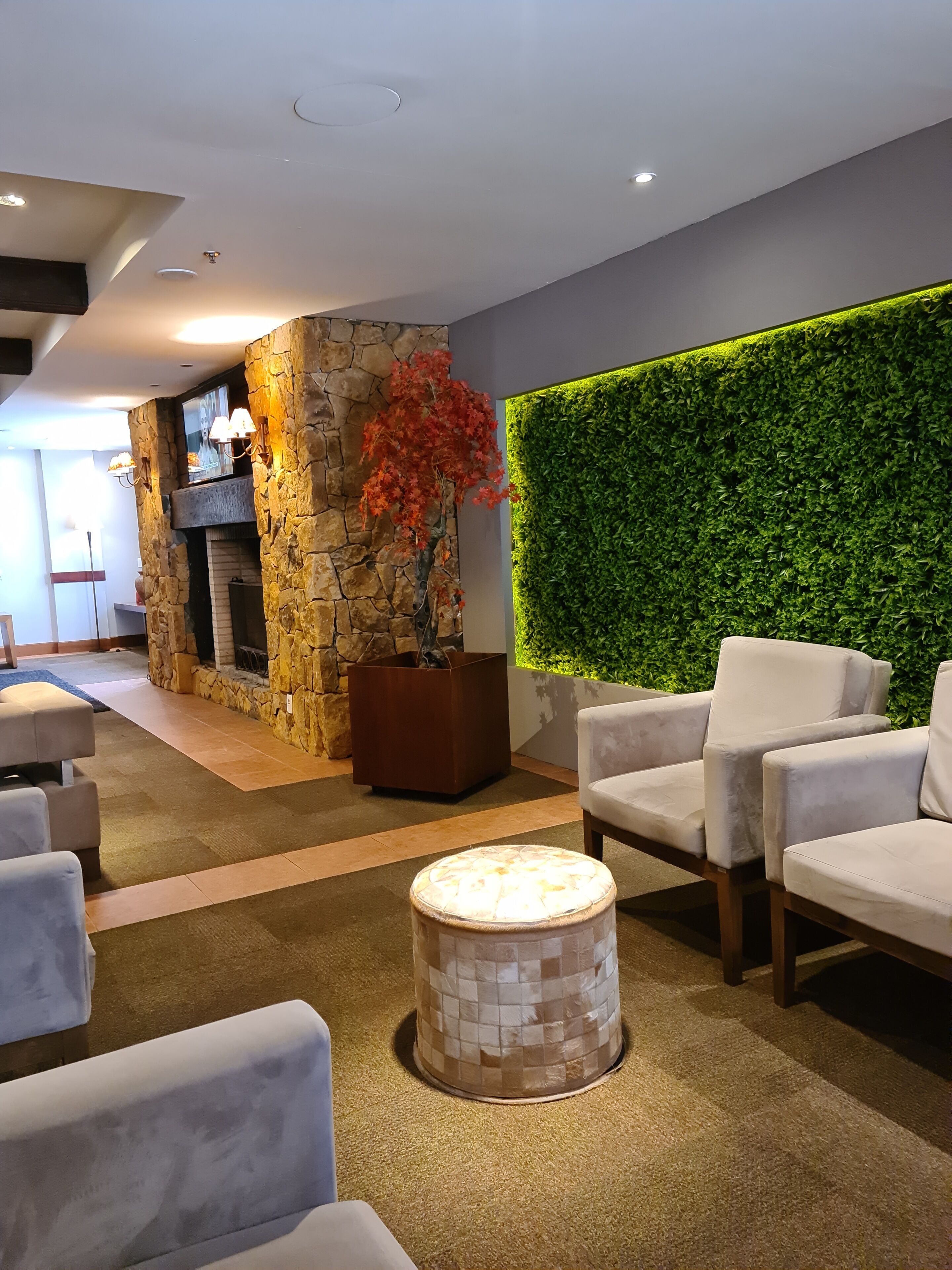 Foto - Flat em Gramado