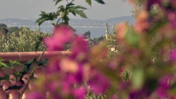 Uitzicht vanuit accommodatie