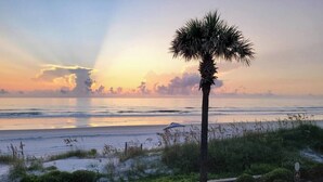 A beach scene with a palm tree, calm water, and a sunset.