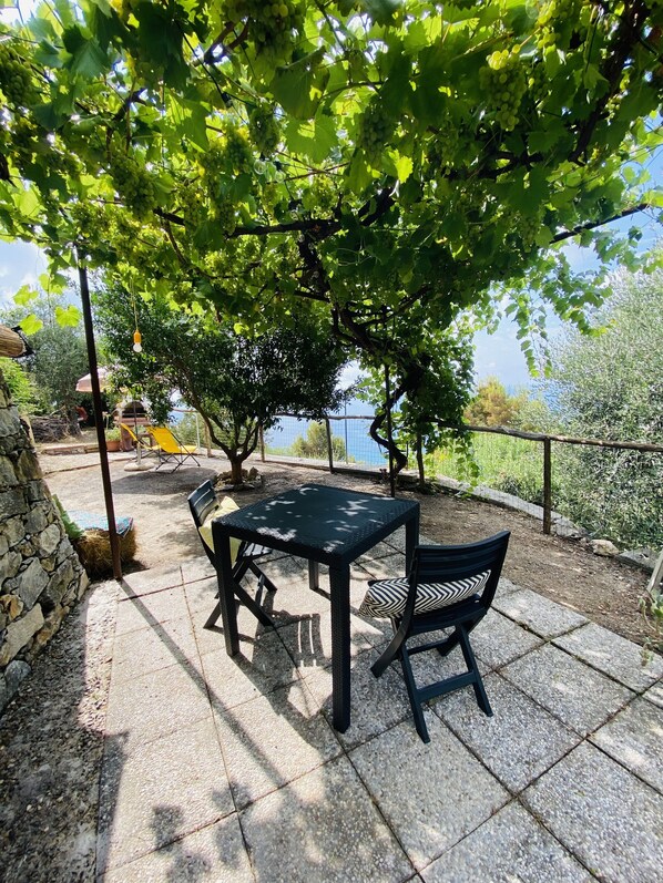 An outdoor patio with a table and chairs, surrounded by greenery and a view of the sea.
