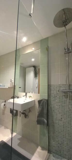 Dusche, Haartrockner, Handtücher, Seife