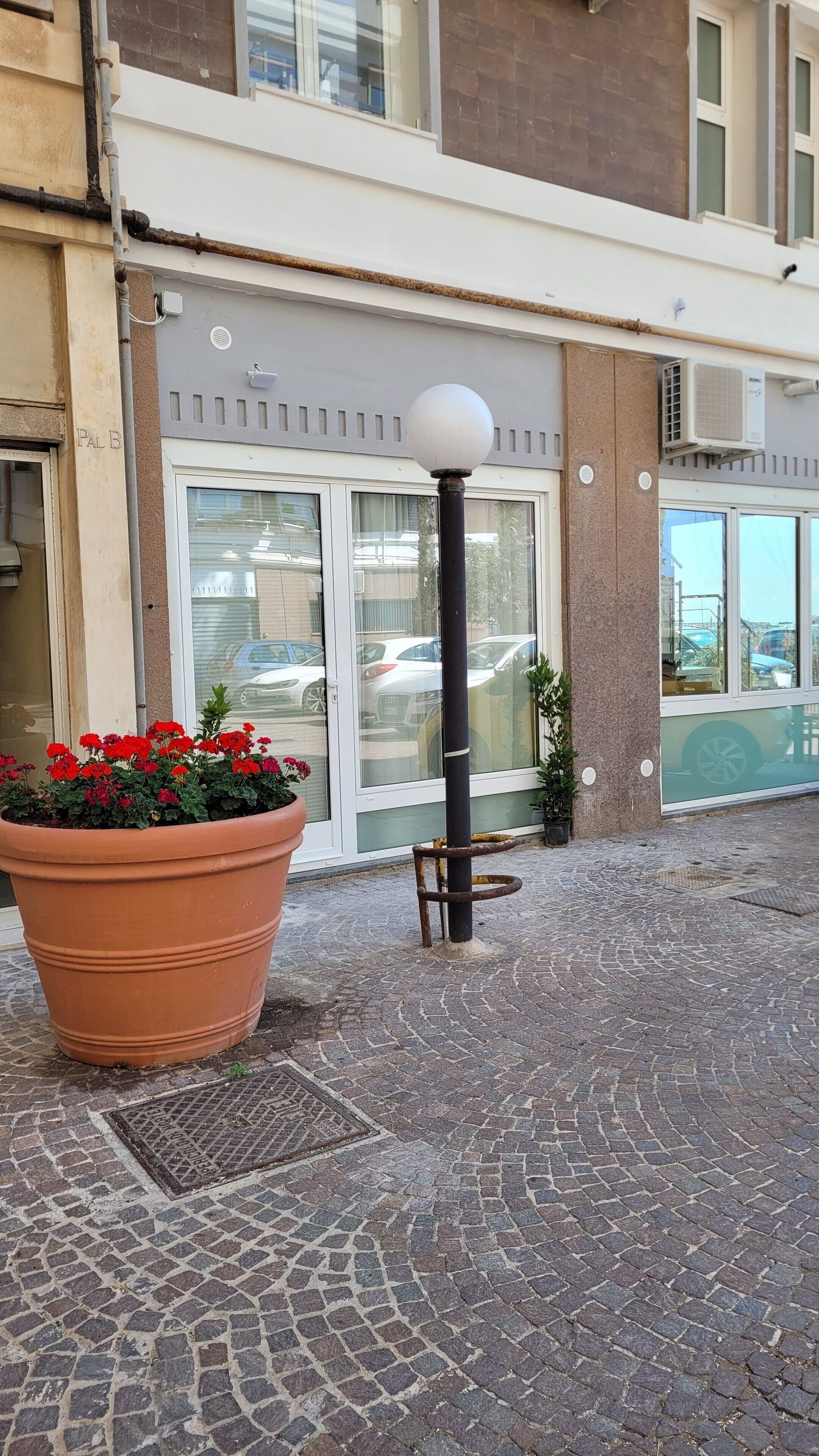 Ingresso di un edificio con una grande pianta in vaso, un dissuasore e una porta in vetro.