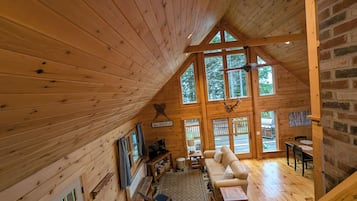 Smart TV, chimenea, reproductor de DVD y libros