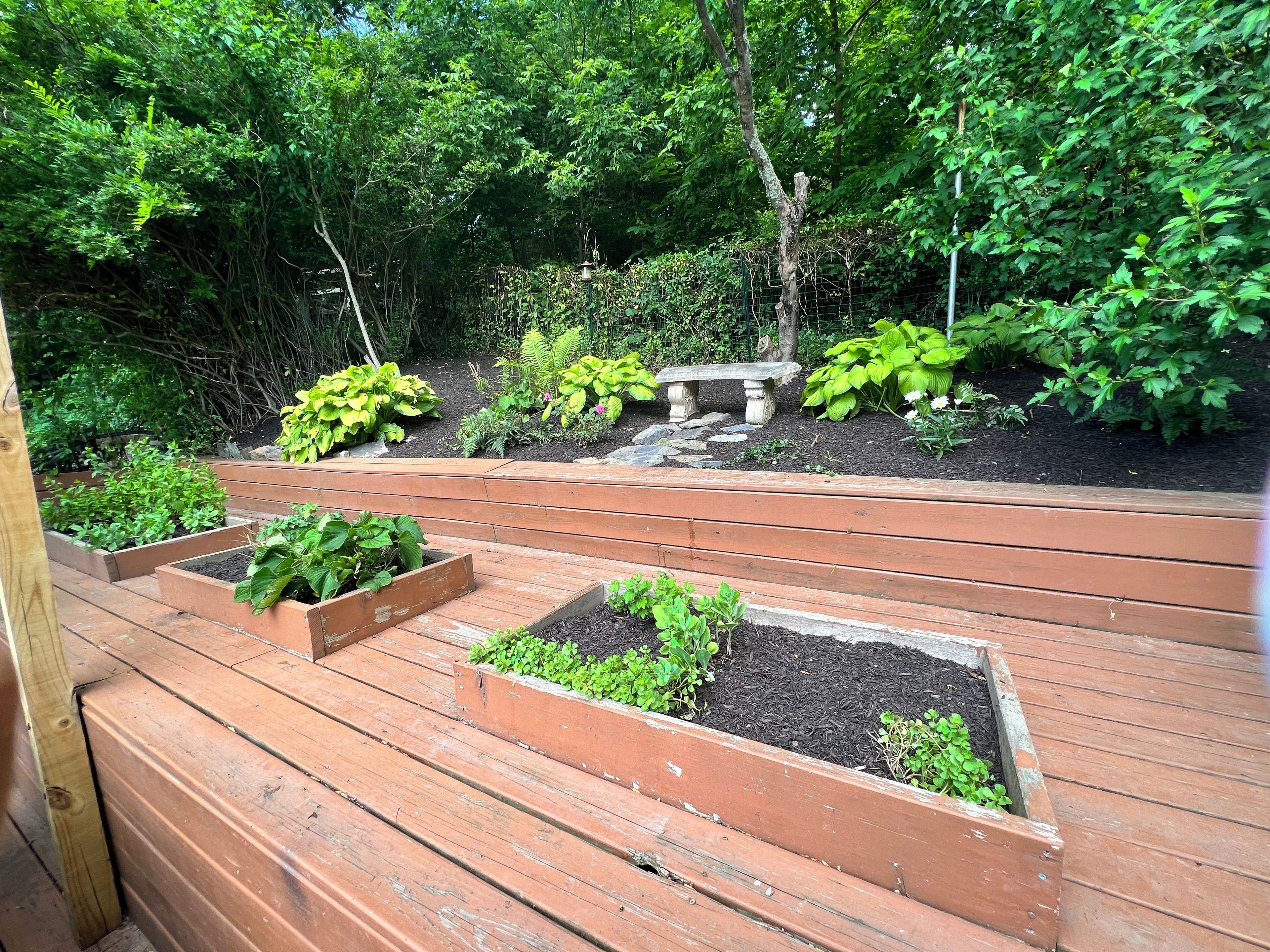 Garden view.