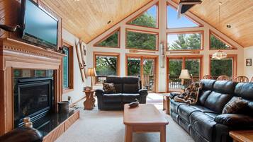 Tv, pejs, dvd-afspiller