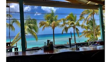 Bar (in loco)