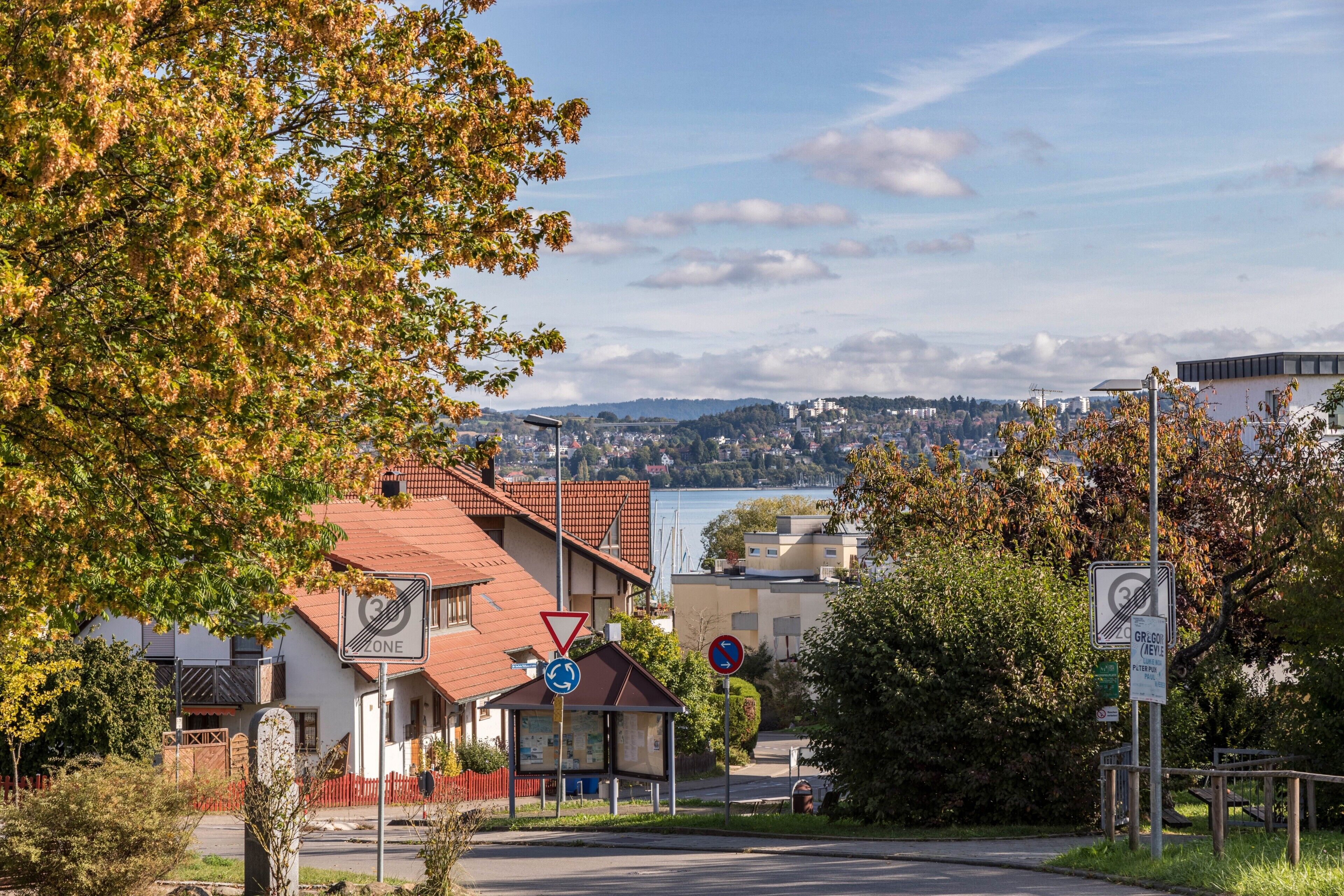 A residential area with houses, a bus stop, and a view of a lake and distant buildings.
