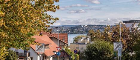 A residential area with houses, a bus stop, and a view of a lake and distant buildings.
