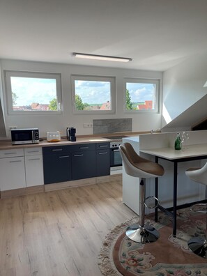 Fridge, microwave, oven, stovetop - Apartment Promedklinik 3 near Main River with with offer of wellness massages on site (Volkach)