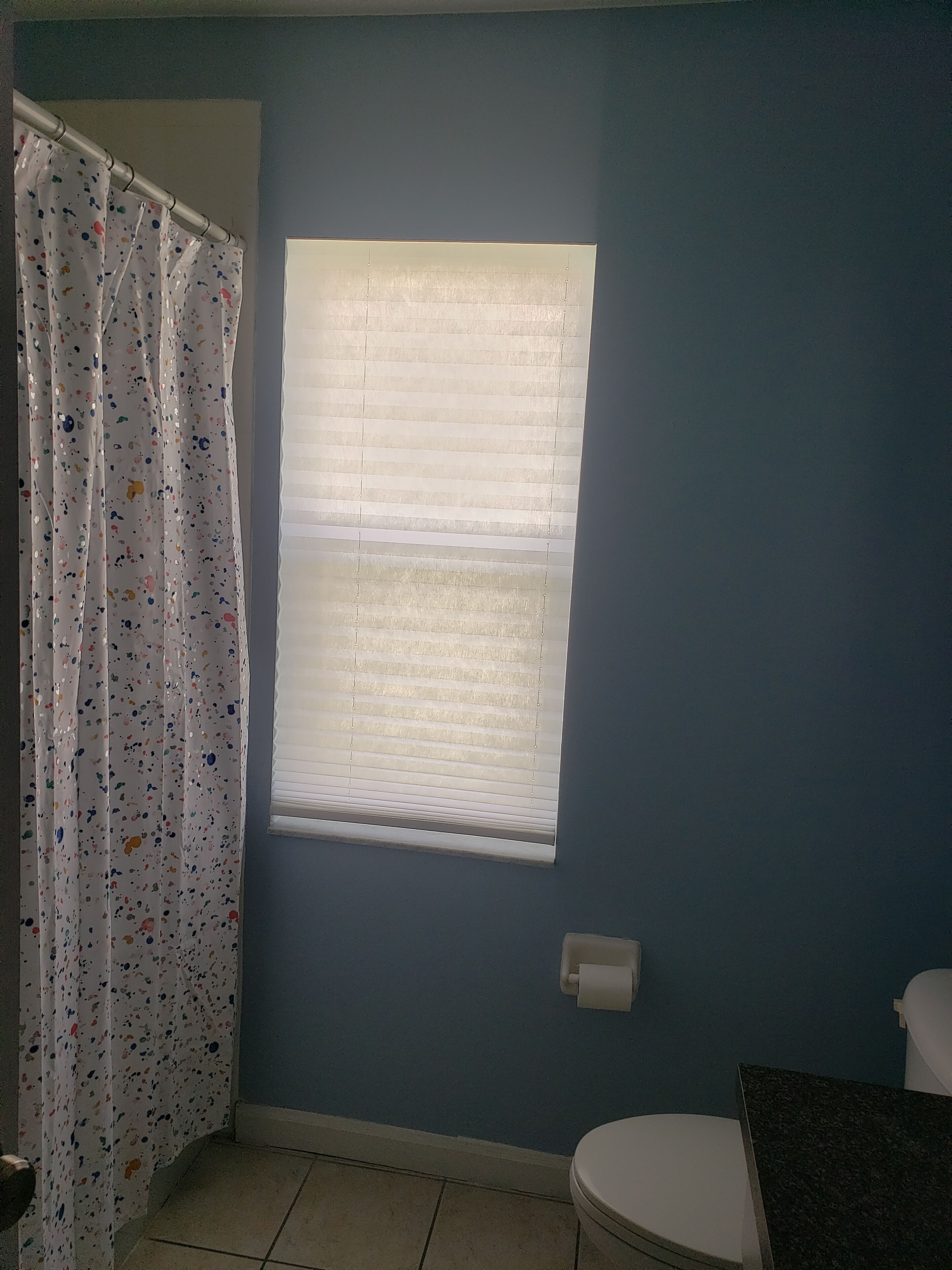 Une salle de bain avec un rideau de douche, une fenêtre avec des stores, des toilettes et un lavabo.