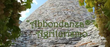A stone structure with a conical roof, surrounded by grapevines.