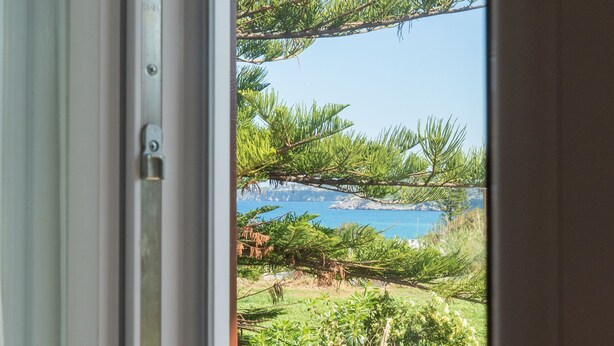 Blick durch ein Fenster auf einen Swimmingpool, viel Grün und einen klaren Himmel.