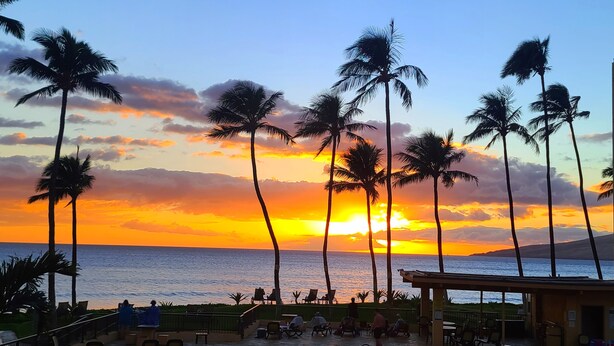 A sunset view with palm trees and a beach. - Big Ocean View from your Sugar Beach Retreat -King Bed, Central AC, WiFi  #208 (Kihei)