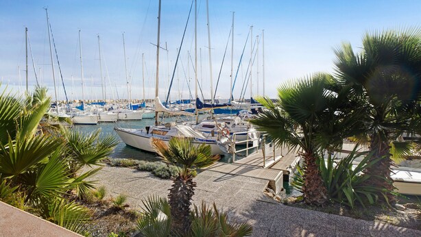 Marina con varios veleros amarrados, rodeada de palmeras y un cielo despejado.