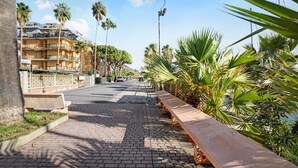 Un sendero pavimentado con bancos, palmeras y un edificio con balcones.