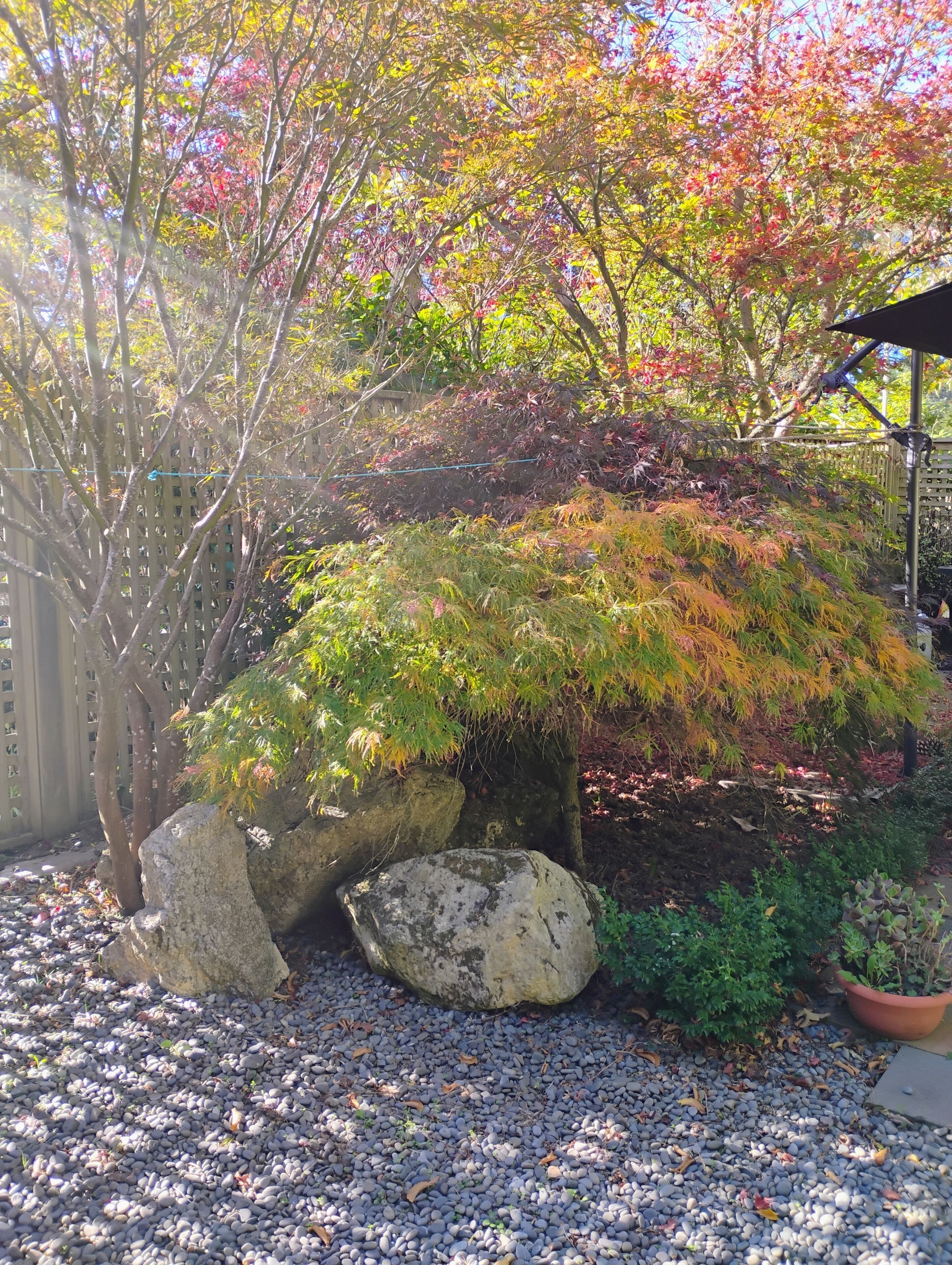 Overnatningsstedets område