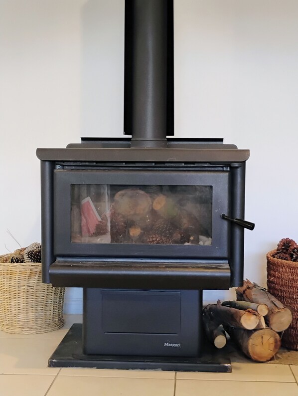 A black wood-burning stove with a glass door, a chimney, and a label reading "Masport."