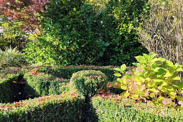 Área da propriedade