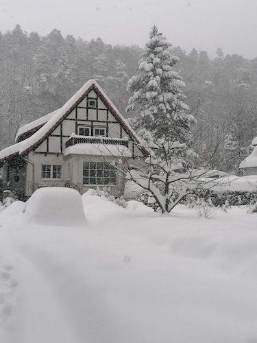 Ferienwohnung Natur pur Mühlental Wernigerode - Ferienwohnung Natur pur