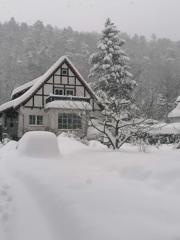 Exterior - Ferienwohnung Natur pur Mühlental Wernigerode - Ferienwohnung Natur pur (Wernigerode)