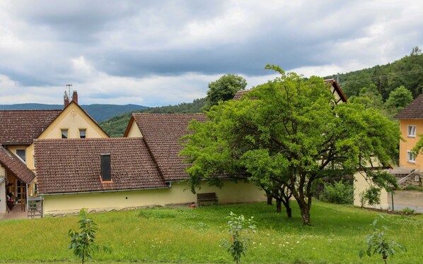 Udendørsområde