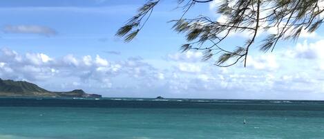 Playa