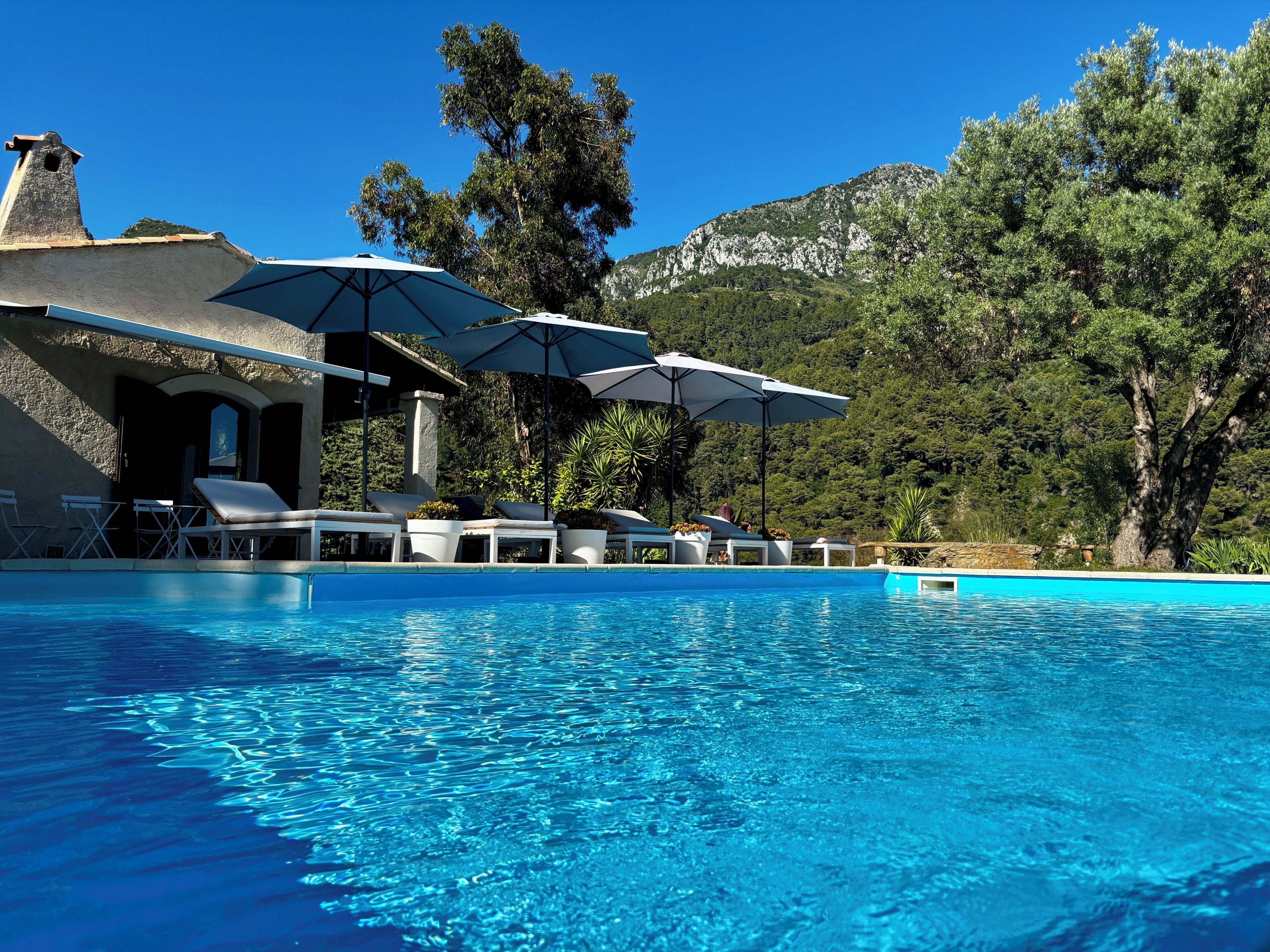 A pool area with lounge chairs and umbrellas, surrounded by trees and a mountain backdrop.