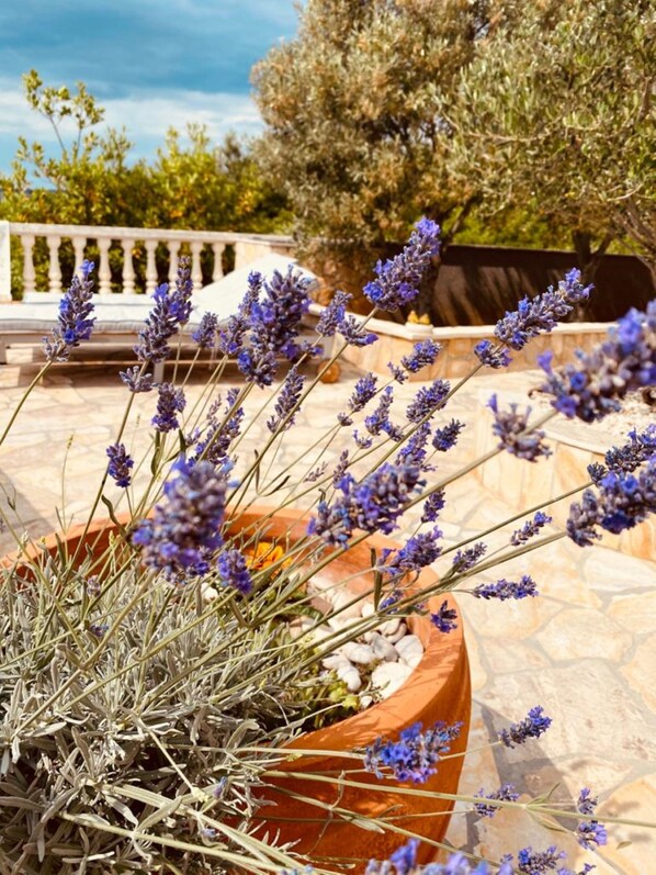 Apartment, Mehrere Betten | Unterkunftsgelände