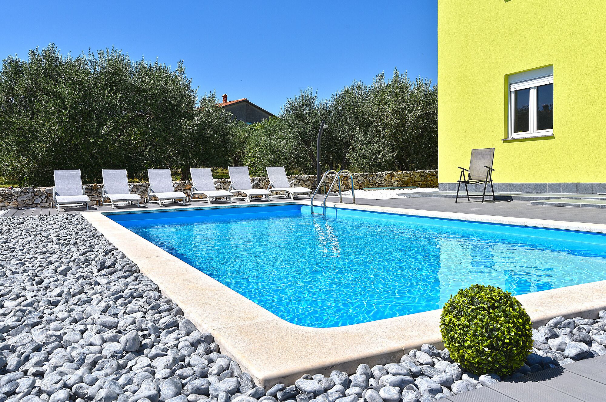 Une piscine avec des chaises longues et un petit arbuste.