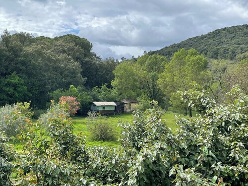 The Magnanerie in Les Baux