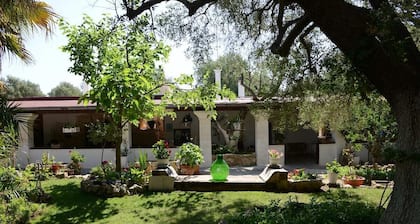 The Legacy of Olives