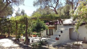 Terrain de l’hébergement 