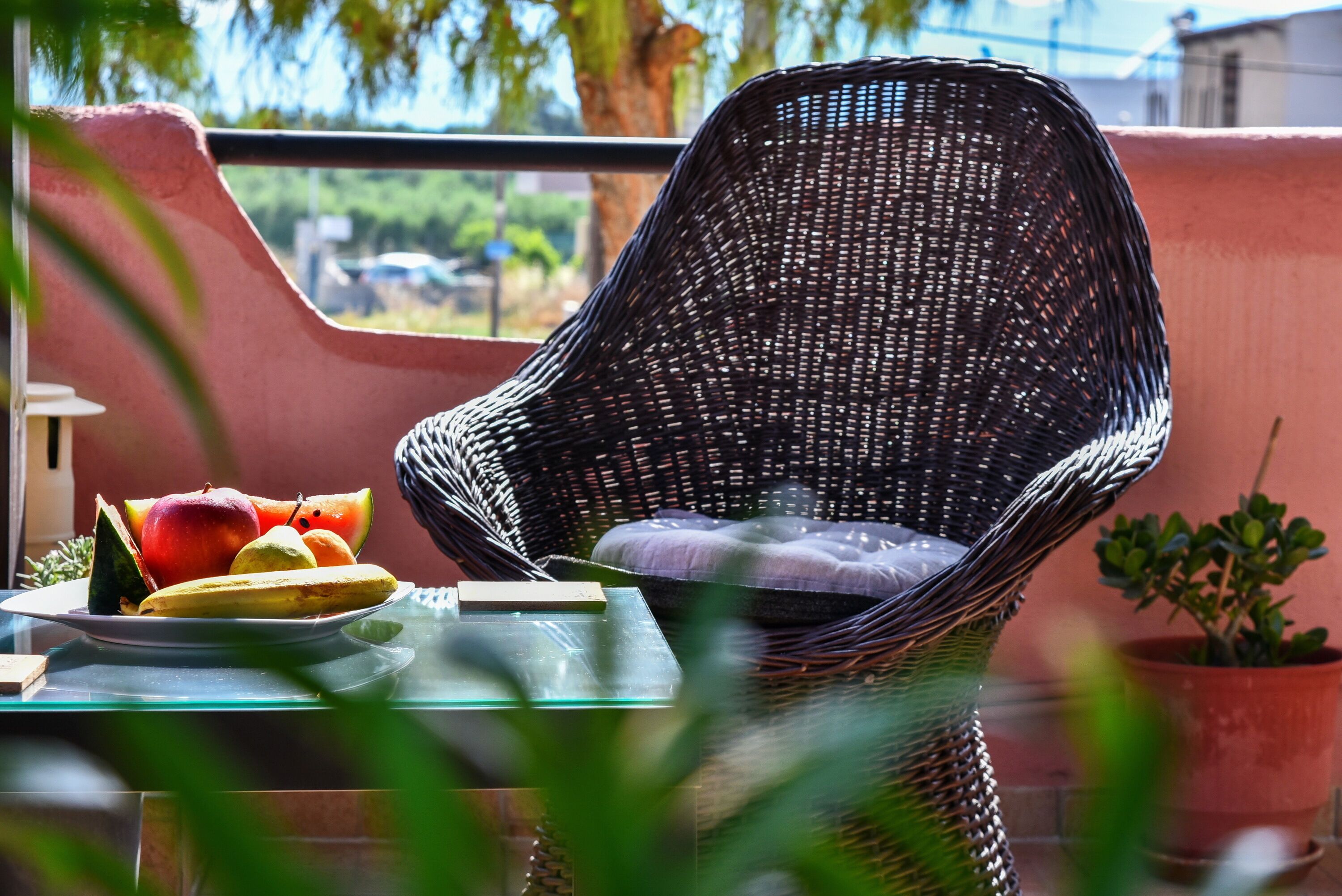 Terrein van de accommodatie