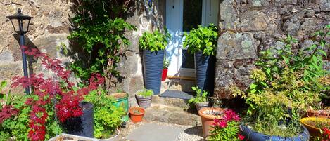 Detalle del exterior