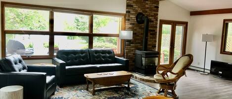 Smart TV, fireplace, DVD player, books