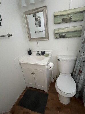 Combined shower/bathtub