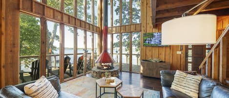 Smart TV, chimenea, reproductor de DVD y libros