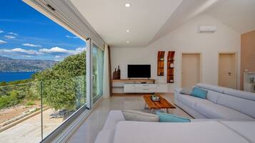 Televisión y chimenea