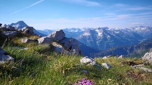 Un paysage montagneux caractérisé par un terrain rocheux et la présence de fleurs sauvages.