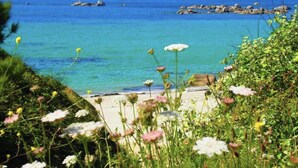 A beach with clear blue water, rocks, and wildflowers.