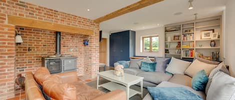 TV, fireplace, books