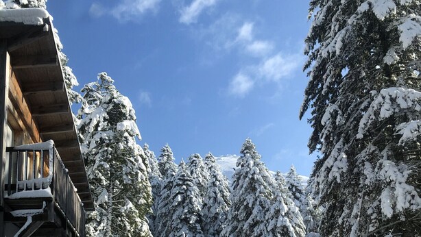 A wooden cabin with a balcony, surrounded by snow-covered trees and a clear blue sky. - Appartement Rocher du Cerf T5 (Le Lioran)