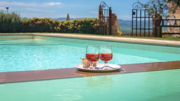 Seasonal outdoor pool, pool umbrellas, pool loungers