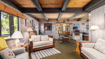 Smart TV, fireplace, DVD player, books