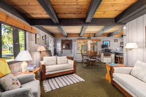 TV connectée, cheminée, lecteur de DVD, livres